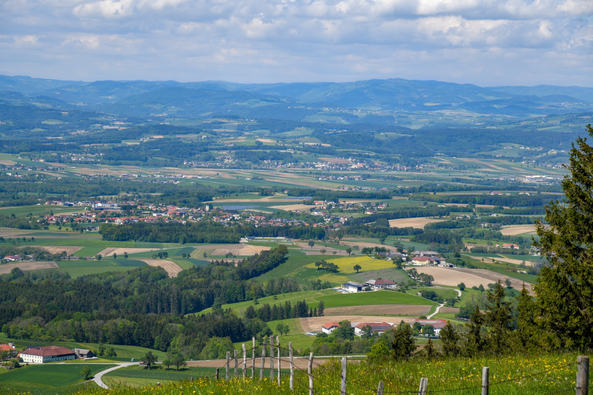 © AdobeStock - marteck Amstetten