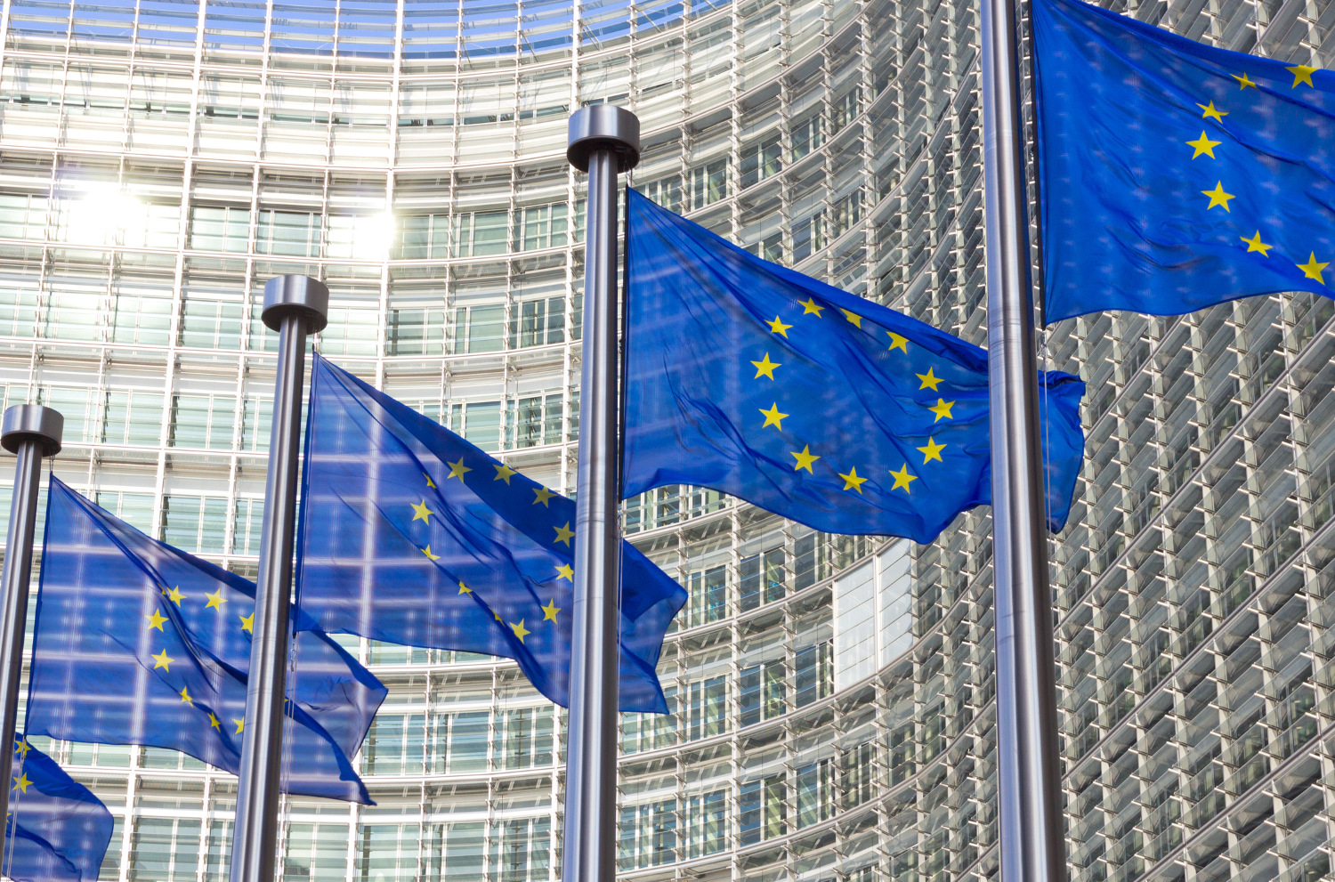 Effiziente europäische Regierung