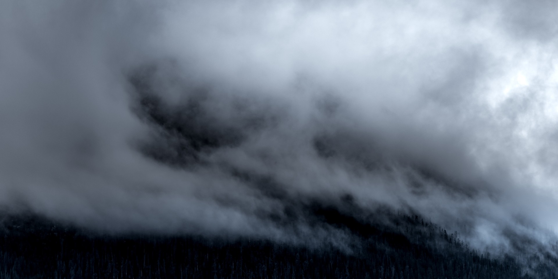nathan-anderson-v1pu3WSFieE-unsplash-5263x2633