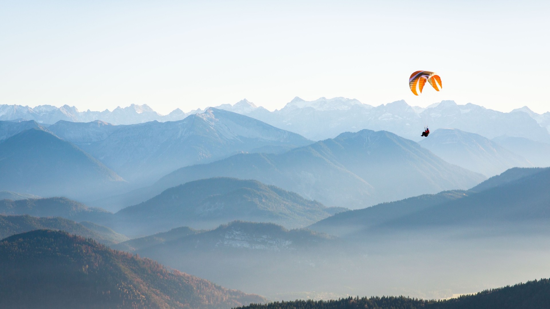 © Johann Lang/iStock iStock-1037902644.jpg