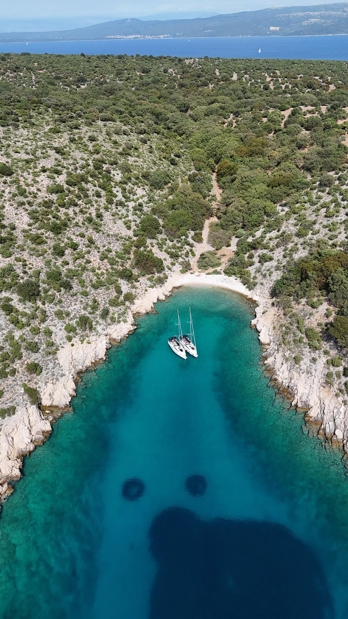 544810491 10241270954817634 460077444559009645 n