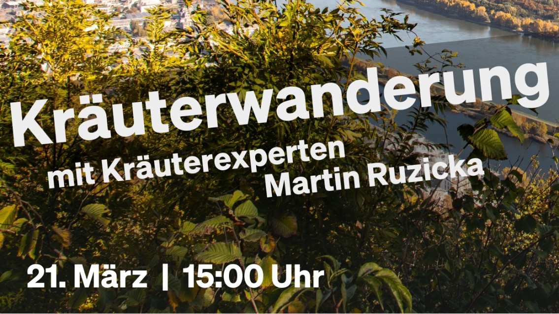 WhatsApp Image 2026-02-18 at 13.04.43-1135x638