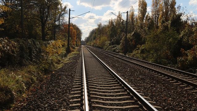 VBB Waldvogelstrasse Herbst-638x359
