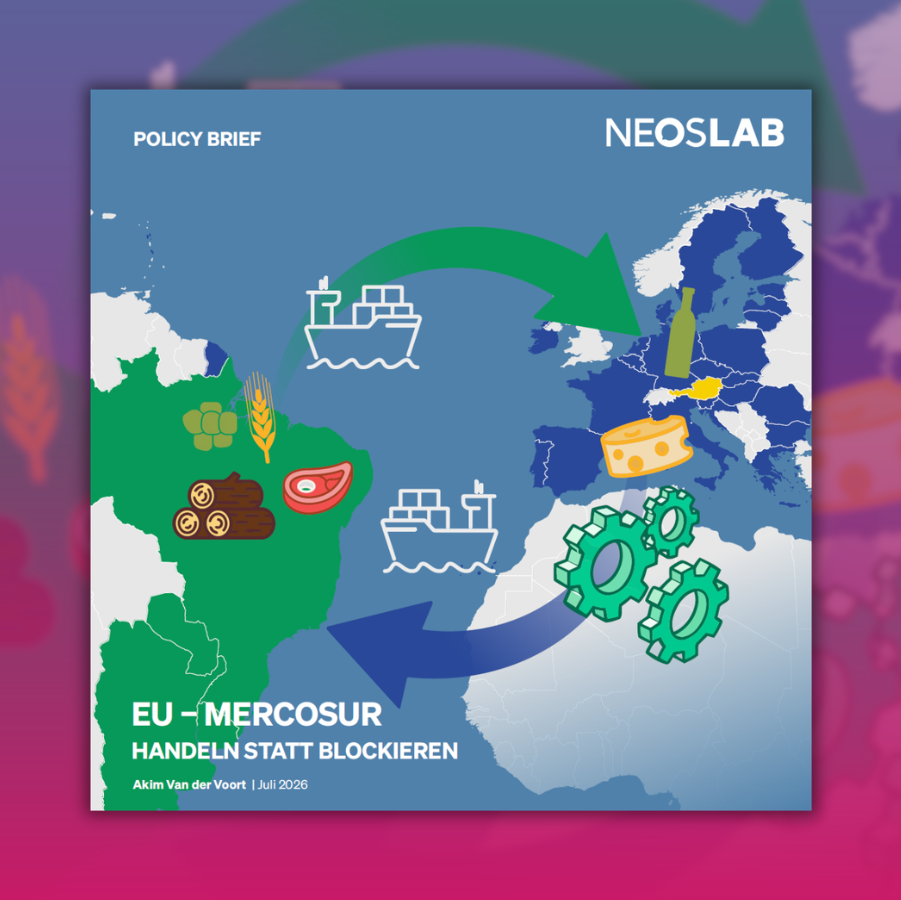 NEOS Lab Teaser - Publikation mercosur.png