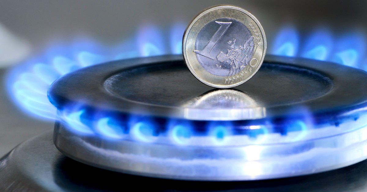 Der Mythos vom „billigen russischen Gas“ | Blog | NEOS Lab