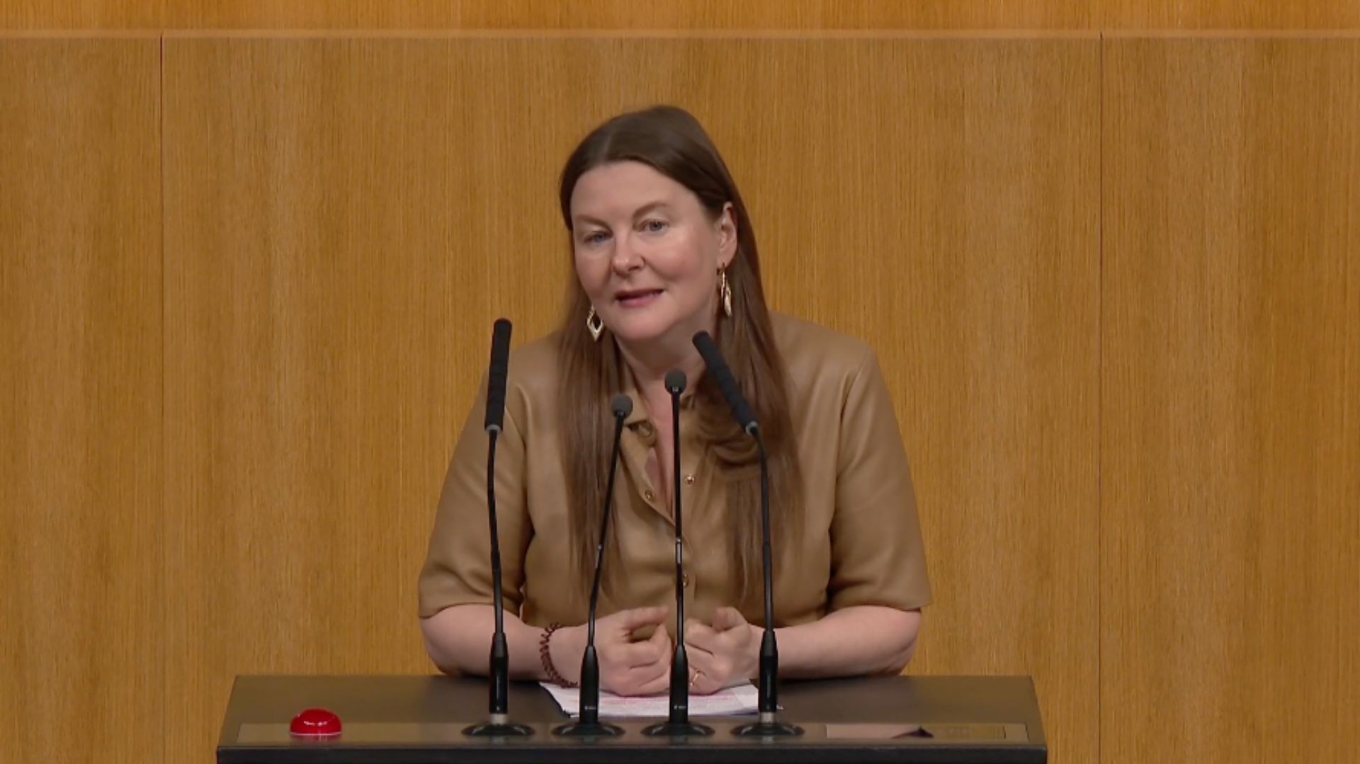 Karin Doppelbauer Billigstromgesetz.jpg